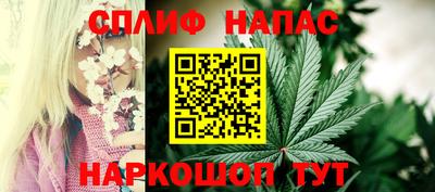 spice Кингисепп