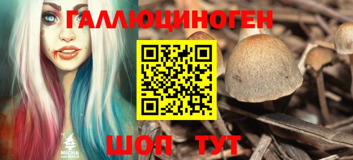 Красноуфимск  Псилоцибиновые грибы Cubensis  Вход с VPN 
